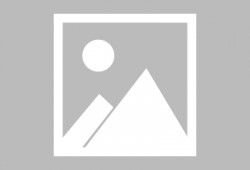 m4枪皮最新爆料,神秘外观与强大性能一触即发